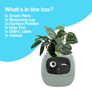 Meet Ivy - AI Powered GrowBuddy Smart Plant Care System