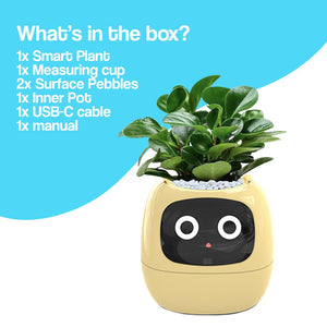 Meet Ivy - AI Powered GrowBuddy Smart Plant Care System