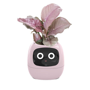 Meet Ivy - AI Powered GrowBuddy Smart Plant Care System