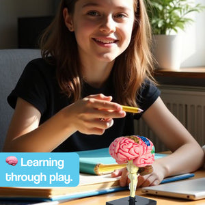 Little Anatomist 4D Build & Learn Science Kits