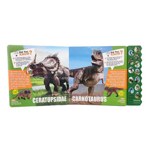 EarlyLearning Dino Soundbook – educational toy