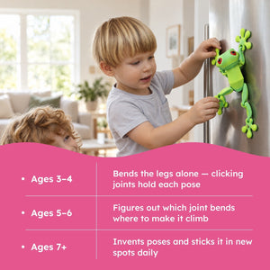 Poseable Magnetic Frog