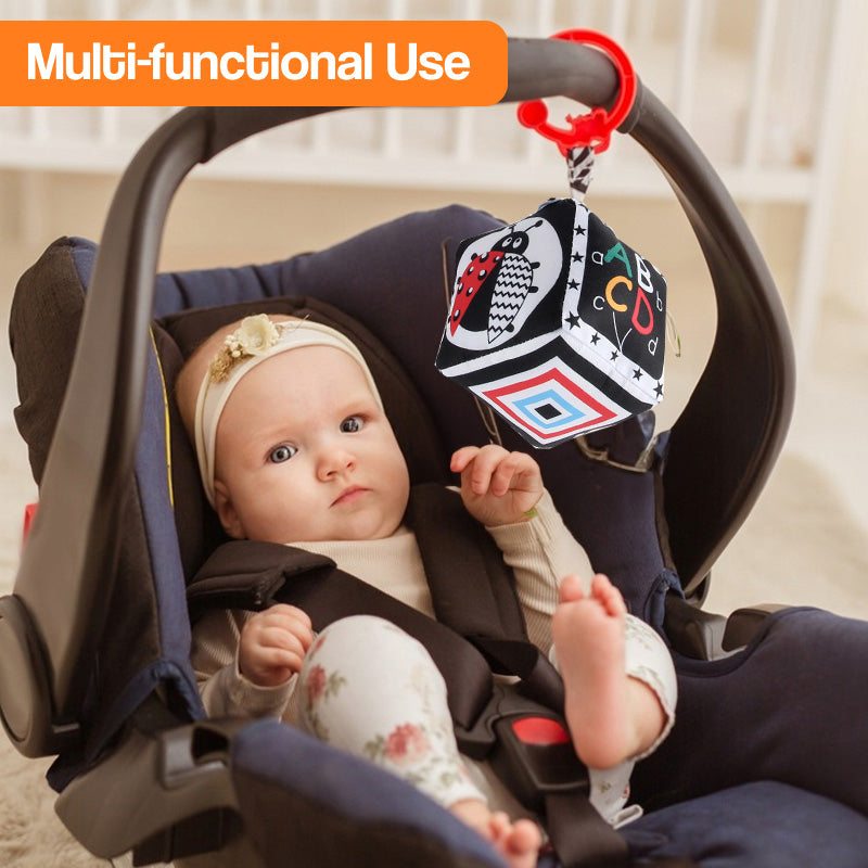 Multi-Sensory Developmental Toys Kit – educational toy