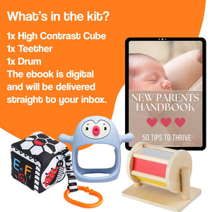 Multi-Sensory Developmental Toys Kit (view 9)