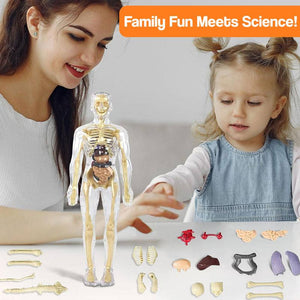 Little Anatomy Learner Set – STEM learning toy