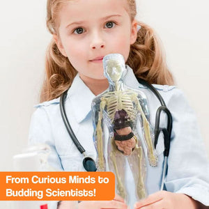 Little Anatomy Learner Set – DIY craft activity