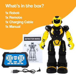 ChatGPT Powered STEM RoboFriend: Move, Bond, Grow (view 12)