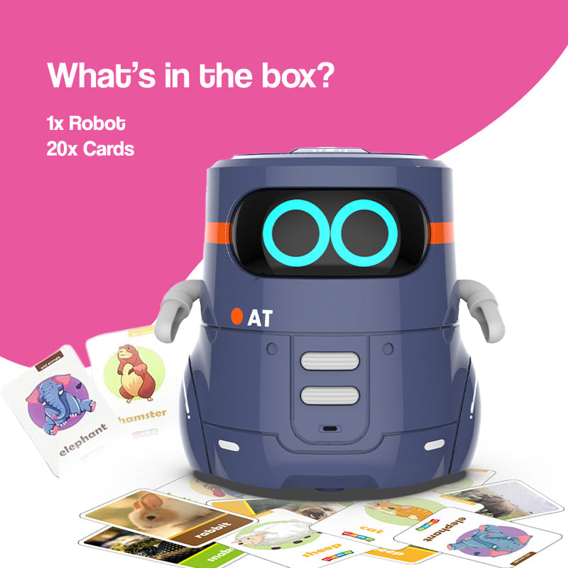 i-Learn & Play Interactive Robot