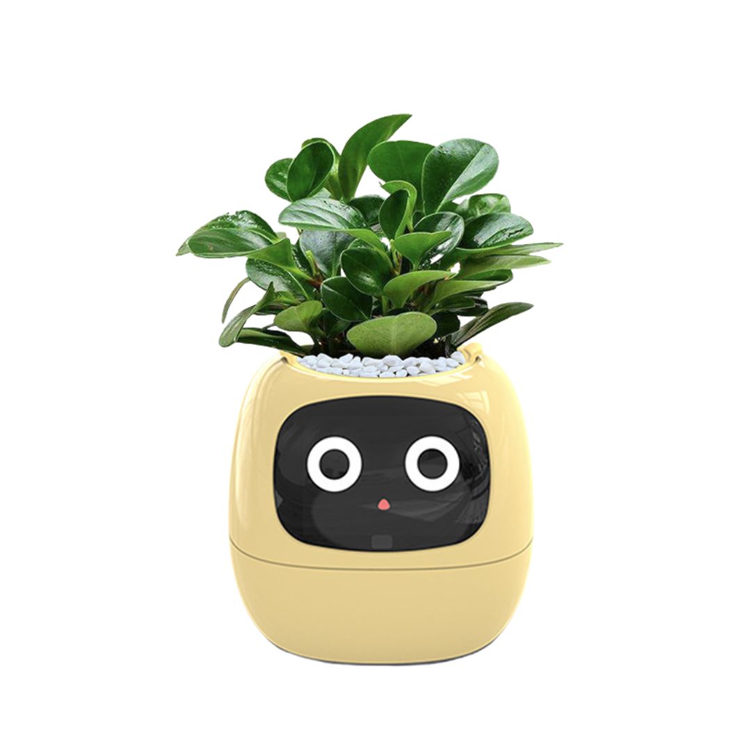 Meet Ivy - AI Powered GrowBuddy Smart Plant Care System