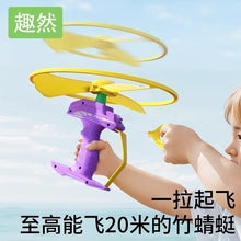 Bamboo Dragonfly Frisbee Outdoor Flying Toy
