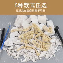 Dinosaur T-Rex Skeleton Model DIY Excavation Toy