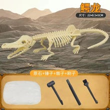 Dinosaur T-Rex Skeleton Model DIY Excavation Toy