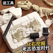 Dinosaur T-Rex Skeleton Model DIY Excavation Toy