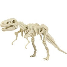 Dinosaur T-Rex Skeleton Model DIY Excavation Toy