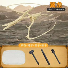 Dinosaur T-Rex Skeleton Model DIY Excavation Toy