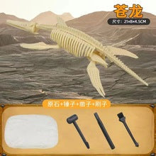 Dinosaur T-Rex Skeleton Model DIY Excavation Toy