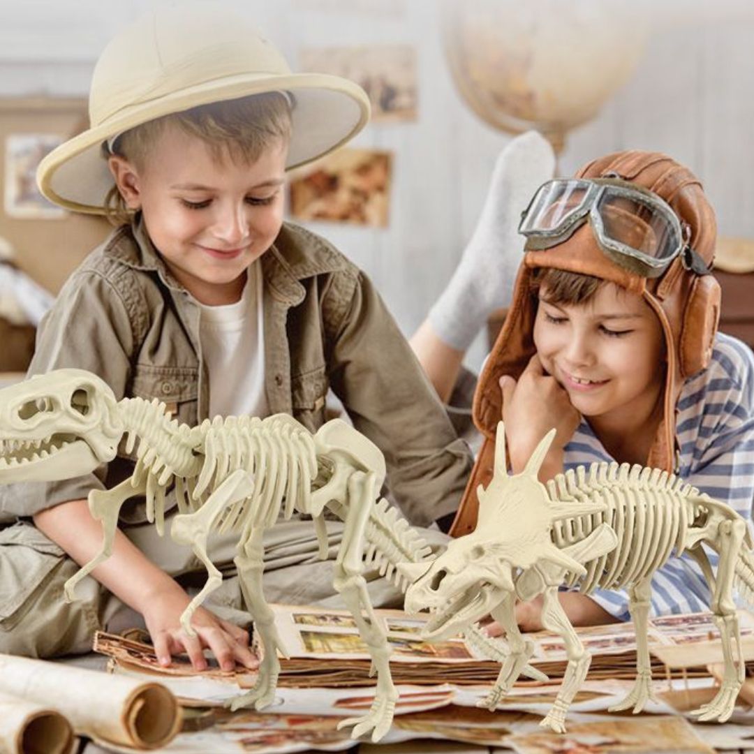Dinosaur T-Rex Skeleton Model DIY Excavation Toy