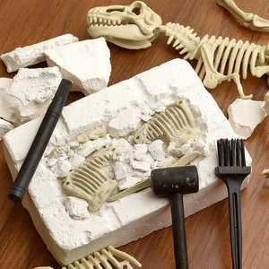 Dinosaur T-Rex Skeleton Model DIY Excavation Toy
