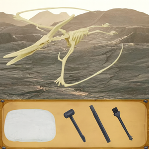 Dinosaur T-Rex Skeleton Model DIY Excavation Toy