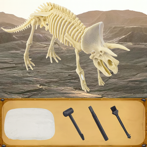 Dinosaur T-Rex Skeleton Model DIY Excavation Toy