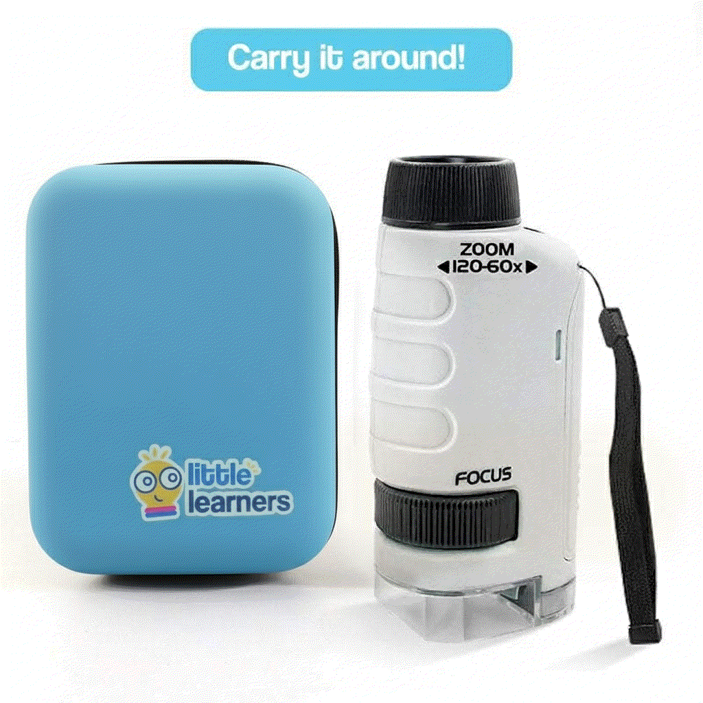 Miniscope Case