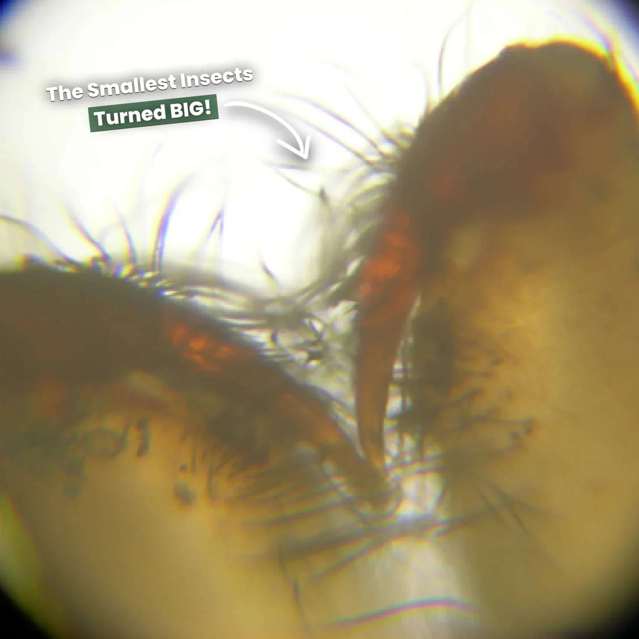 The Original Miniscope™ – science kit